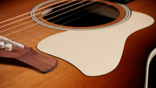 Gold Label 717e SB Acoustic-Electric Guitar with Case - Sunburst w/ Cream Pickguard