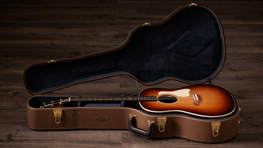 Gold Label 717e SB Acoustic-Electric Guitar with Case - Sunburst w/ Cream Pickguard