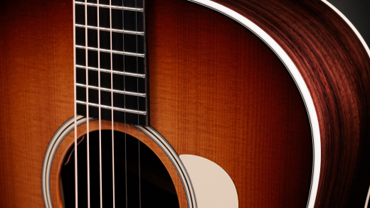 Gold Label 717e SB Acoustic-Electric Guitar with Case - Sunburst w/ Cream Pickguard