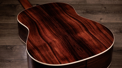 Gold Label 717e SB Acoustic-Electric Guitar with Case - Sunburst w/ Firestripe Pickguard