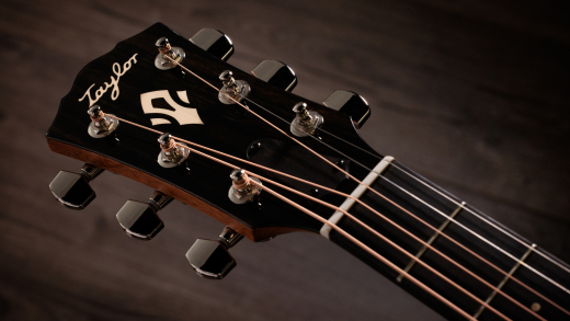 Gold Label 717e SB Acoustic-Electric Guitar with Case - Sunburst w/ Firestripe Pickguard