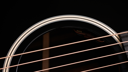 Gold Label 717e Blacktop Acoustic-Electric Guitar with Case