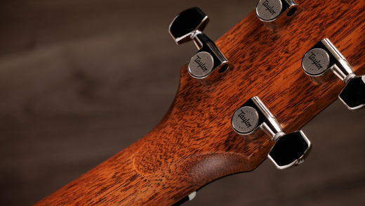 Gold Label 717e Blacktop Acoustic-Electric Guitar with Case