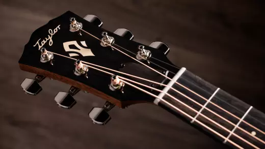 Gold Label 717e Blacktop Acoustic-Electric Guitar with Case