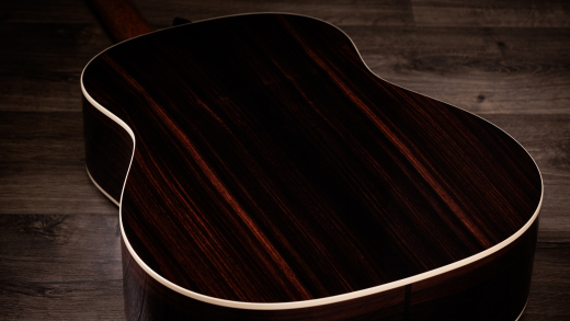 Gold Label 717e Blacktop Acoustic-Electric Guitar with Case