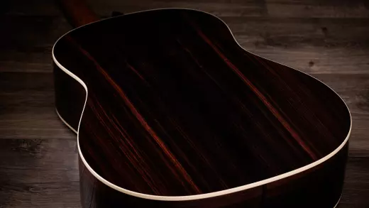 Gold Label 717e Blacktop Acoustic-Electric Guitar with Case