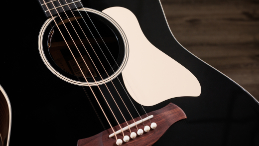 Gold Label 717e Blacktop Acoustic-Electric Guitar with Case