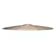 Kerope Medium Low Ride Cymbal - 22\'\'