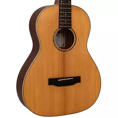 The Parlor All Solid Wood Acoustic/Electric Guitar with Gigbag - Satin Natural