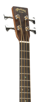000C Jr E Acoustic/Electric Bass with Gigbag - Natural