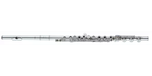 Altus Flutes - A10 Sterling Silver Flute with Open Hole, Offset G, B Foot and Z Headjoint