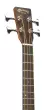 000C Jr E Acoustic/Electric Bass with Gigbag - Burst