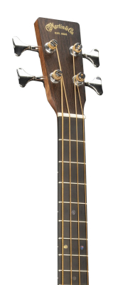000C Jr E Acoustic/Electric Bass with Gigbag - Burst