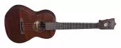 Martin Guitars - 1T IZ Tenor Uke with Case - Satin
