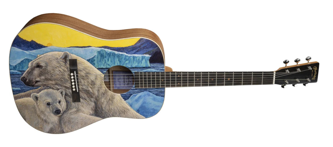 D Biosphere III Acoustic Guitar with Case