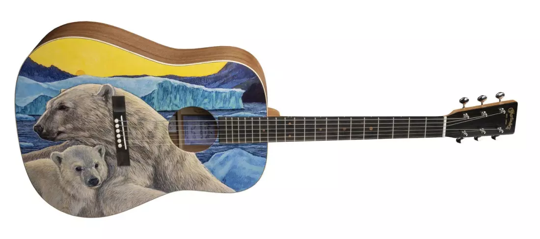 D Biosphere III Acoustic Guitar with Case