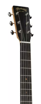 D Biosphere III Acoustic Guitar with Case