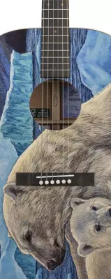 D Biosphere III Acoustic Guitar with Case