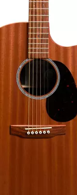 GPC-X2E Acoustic/Electric Guitar with Softshell Case - Ziricote