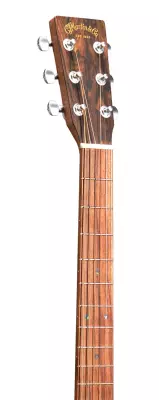 GPC-X2E Acoustic/Electric Guitar with Softshell Case - Ziricote