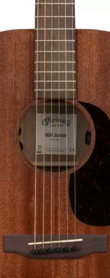 000C Jr E Acoustic/Electric Guitar with Softshell Case