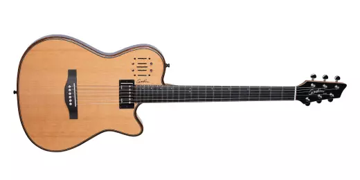 A6 Ultra Dlx Acoustic/Electric Guitar with Gigbag - Natural