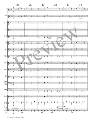 A Warrior\'s Departure - Meeboer - Concert Band - Gr. 1