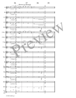 At First Light - Meeboer - Concert Band - Gr. 1.5