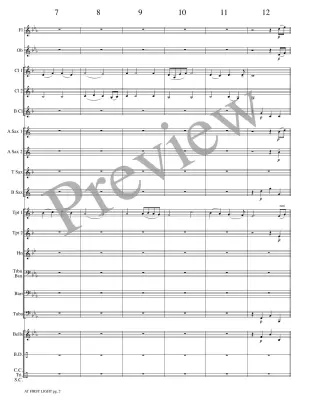 At First Light - Meeboer - Concert Band - Gr. 1.5