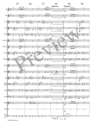 At First Light - Meeboer - Concert Band - Gr. 1.5