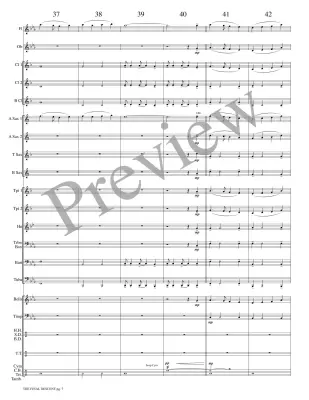The Final Descent - Meeboer - Concert Band - Gr. 1.5