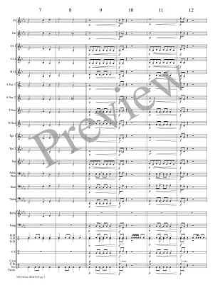 The Final Descent - Meeboer - Concert Band - Gr. 1.5