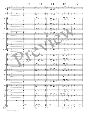 The Final Descent - Meeboer - Concert Band - Gr. 1.5