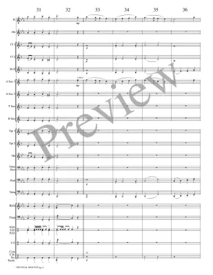 The Final Descent - Meeboer - Concert Band - Gr. 1.5