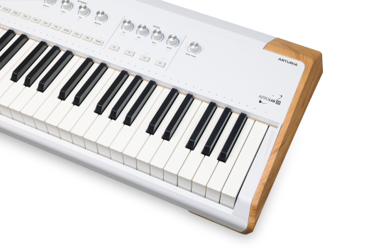 AstroLab 88 Avant-Garde Stage Keyboard