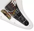 DG20 Strat Set with Pickguard - Ivory/Black