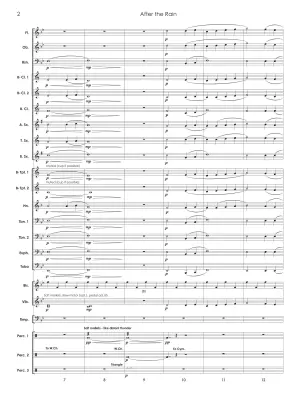 After the Rain - Neufeld - Concert Band Score Only - Gr. 1