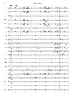 After the Rain - Neufeld - Concert Band Score Only - Gr. 1
