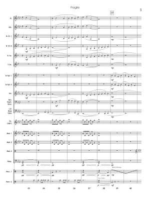 Fragile - Standridge - Concert Band Score Only - Gr. 1.5-2