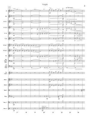 Fragile - Standridge - Concert Band Score Only - Gr. 1.5-2