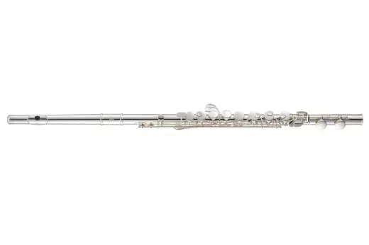 JAF1000XE Alto Flute with Curved and Straight Headjoints - Silver-Plated