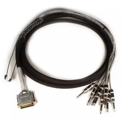 Avid - DB25 TS+4/-10 DB Padded DigiSnake - 12