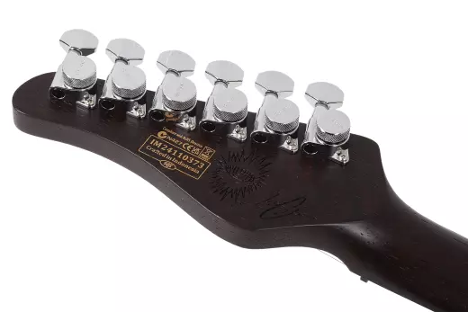 10th Anniversary Nick Johnston Traditional HSS Electric Guitar - Atomic Saffron