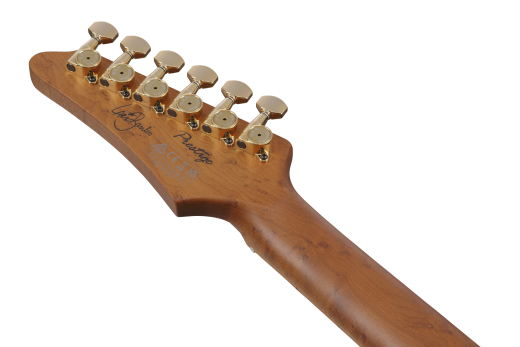 Lari Basilio Signature Electric Guitar w/Case - Black