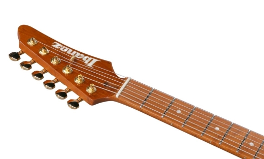 Lari Basilio Signature Electric Guitar w/Case - Black