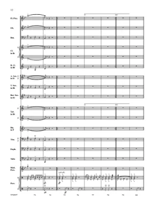 Armed Services Medley - Martin - Concert Band - Gr. 2.5