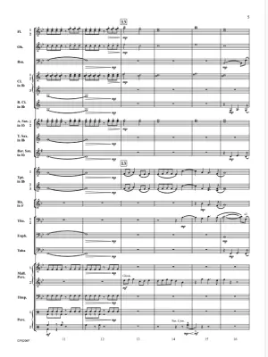 Telescopic Voyages - Bobrowitz - Concert Band - Gr. 3
