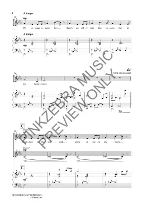 December in My Hometown - Pinkzebra - 2pt
