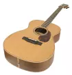OM-03 Walnut/Cedar Top Acoustic Guitar with Case