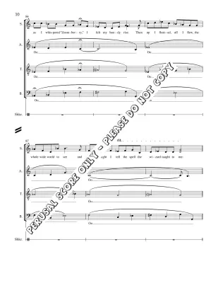 The Wizard (Dennis Lee Trilogy - Mvt. #2) - Lee/Robinovitch - SATB